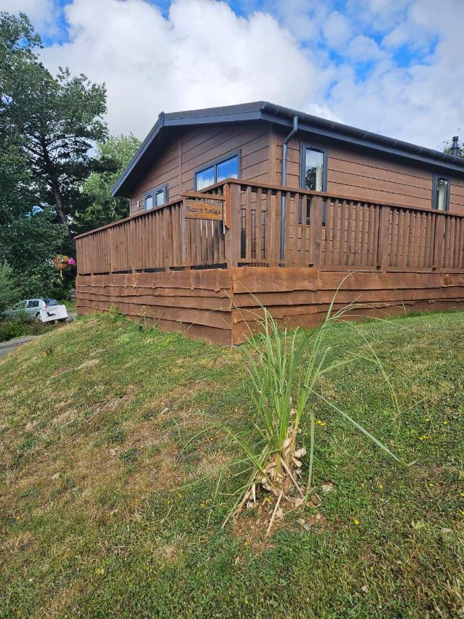 Holiday home Acorn - Oak View Lodges - Pet Friendly Liskeard