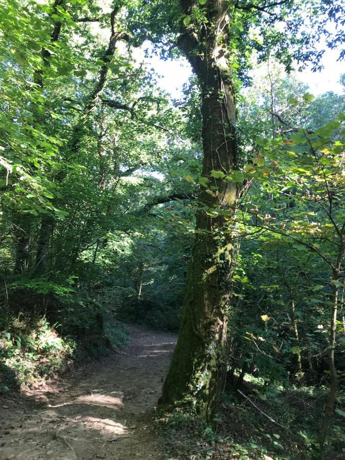 Holiday home Acorn - Oak View Lodges - Pet Friendly *